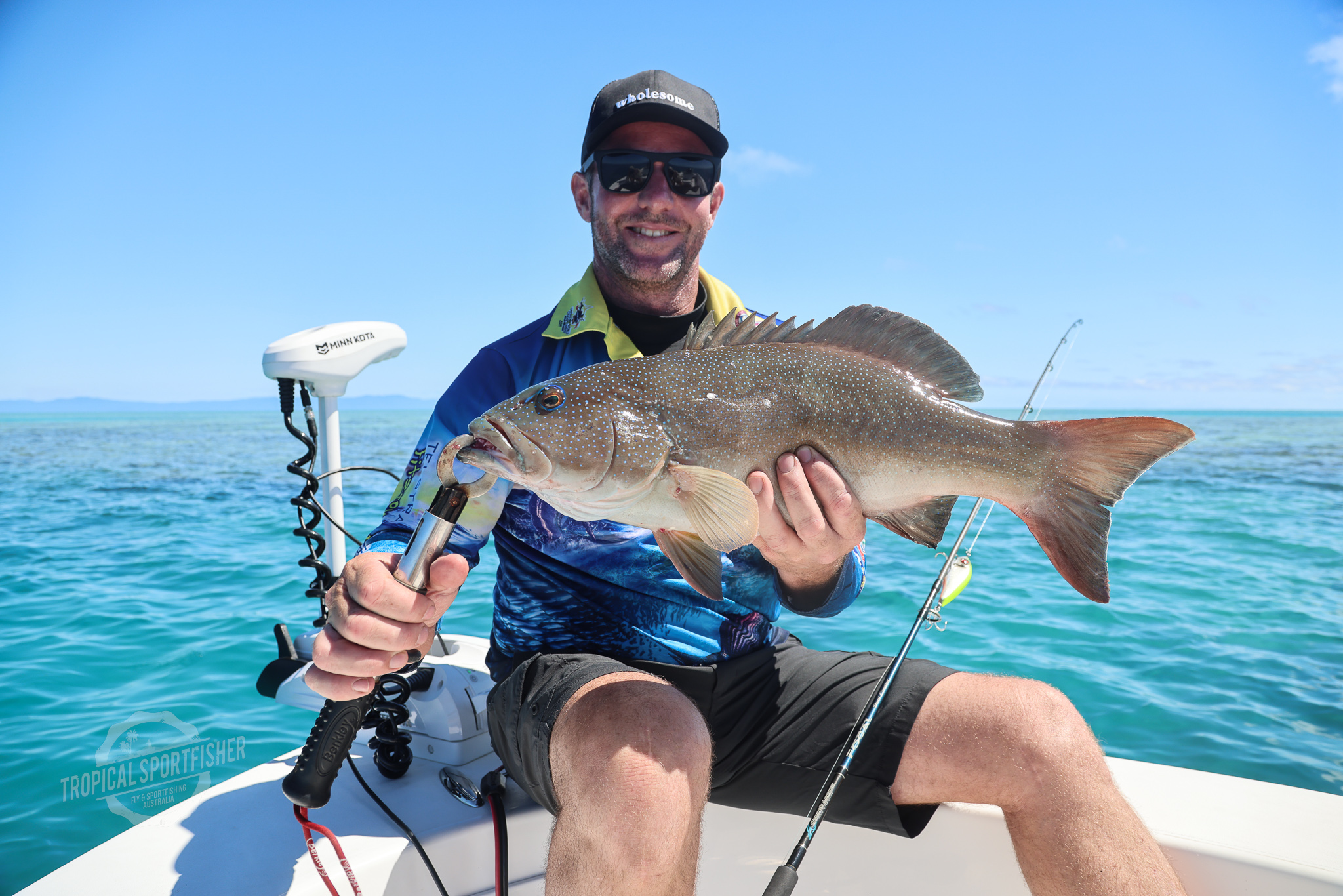 Salt water Crocodile