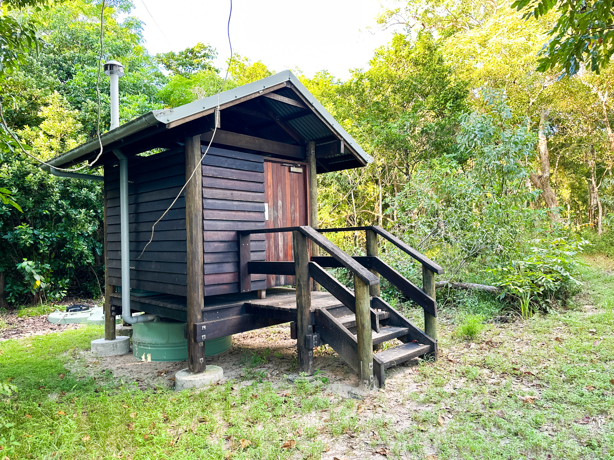 Salt water Crocodile