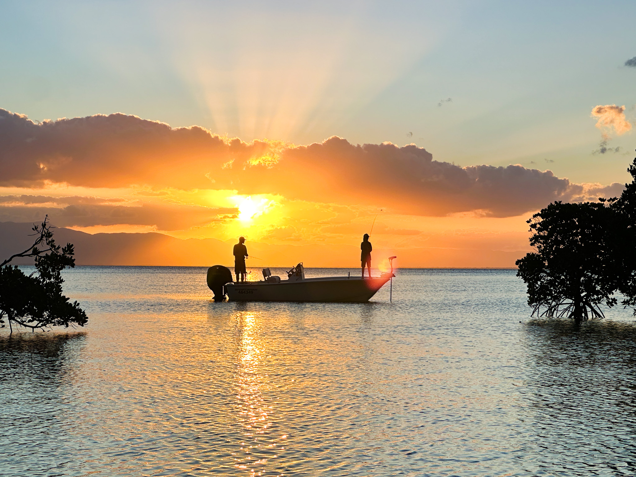 Salt water Crocodile