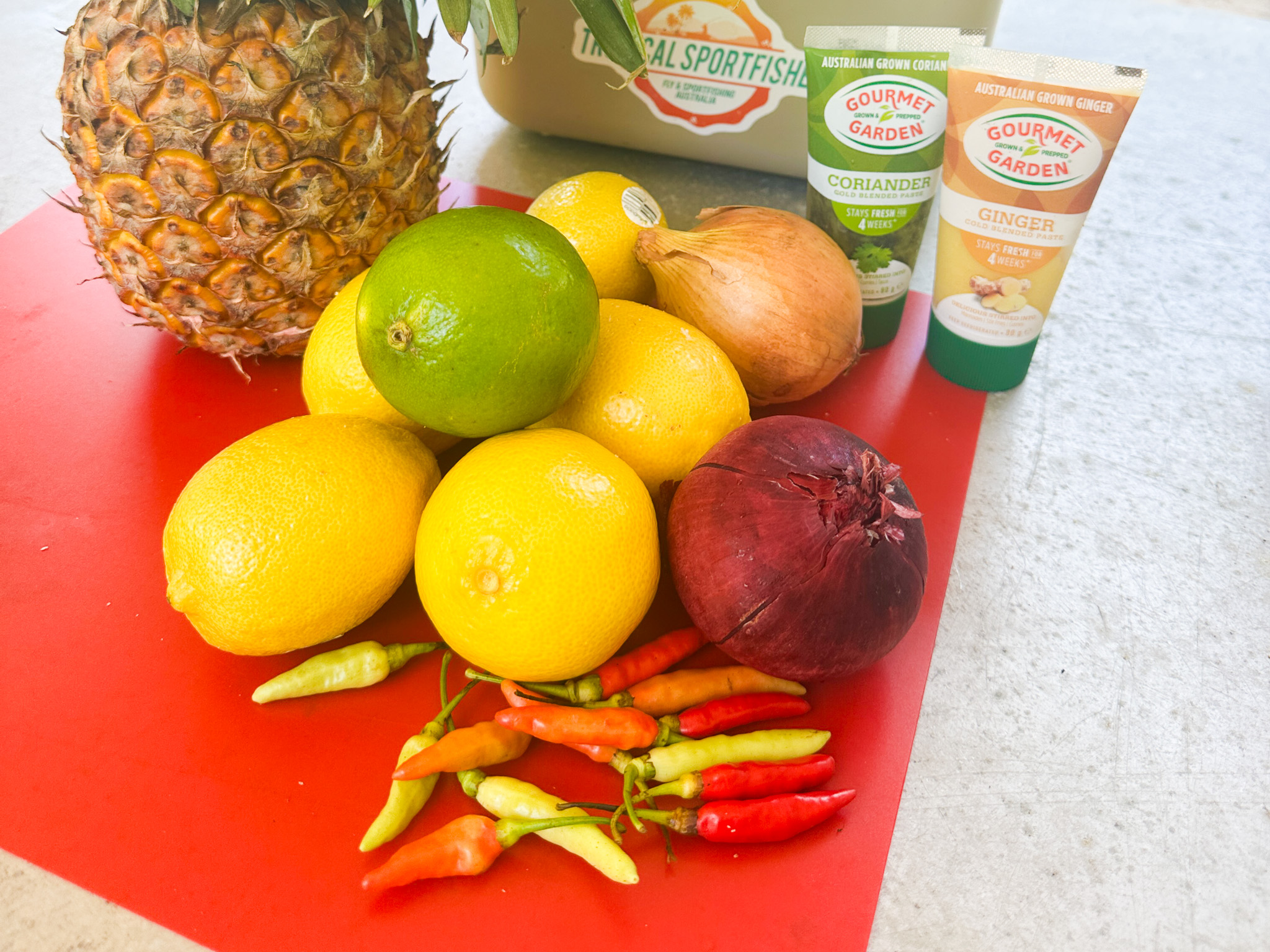 Salt water Crocodile