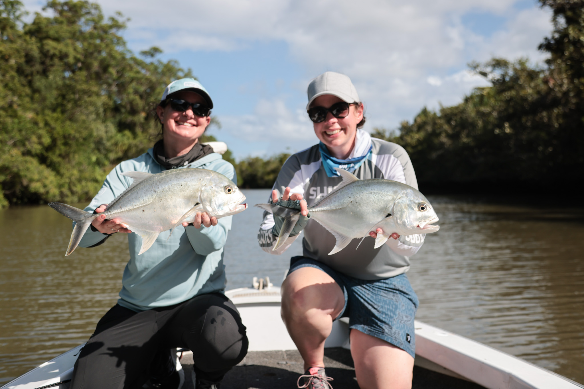Salt water Crocodile