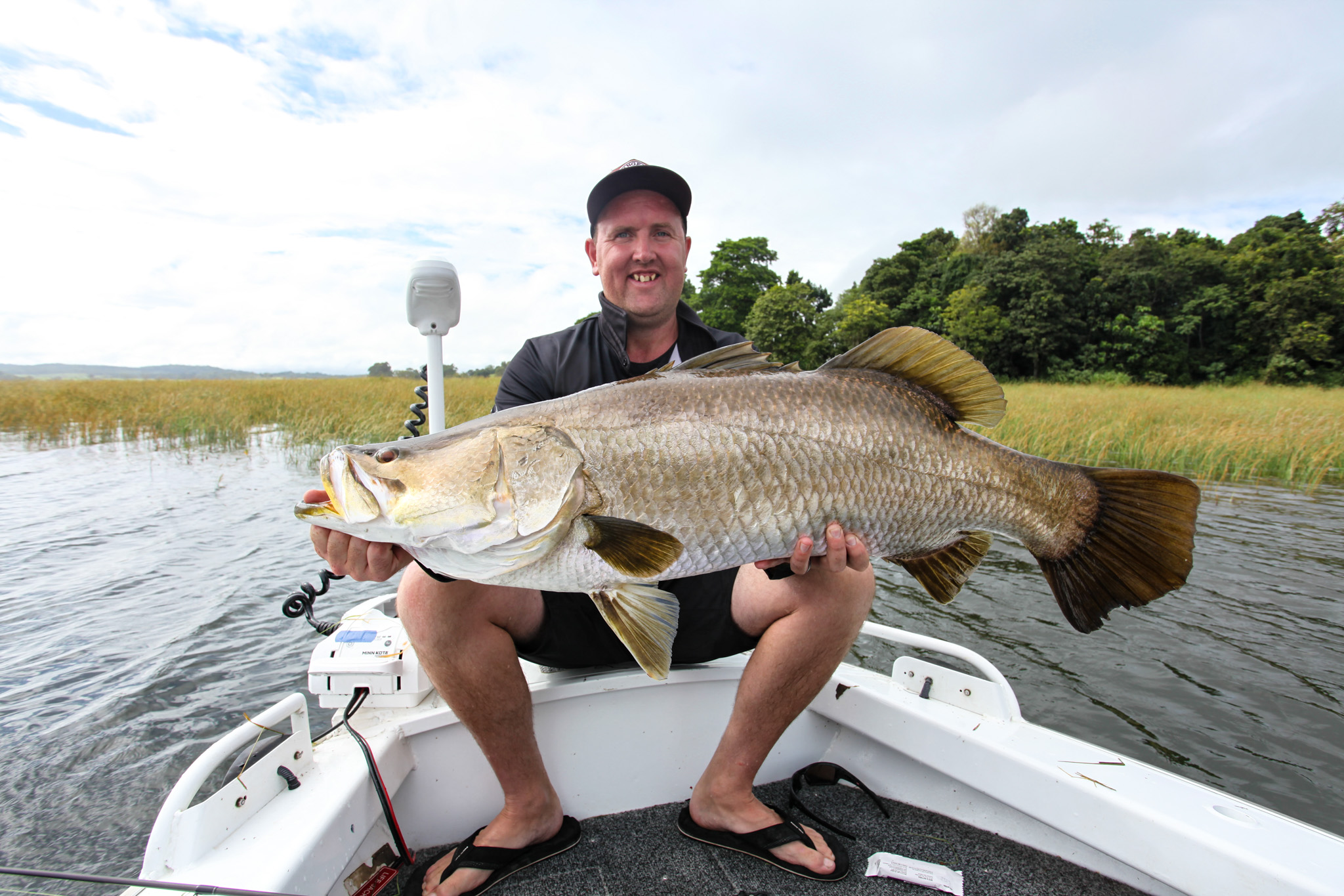 Salt water Crocodile