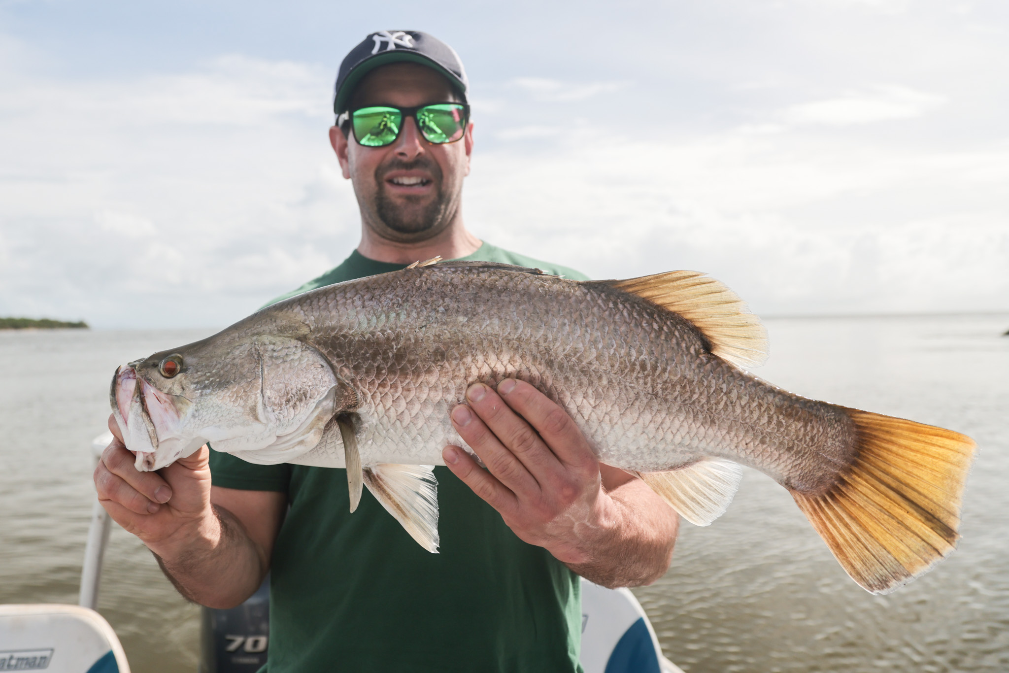 Salt water Crocodile