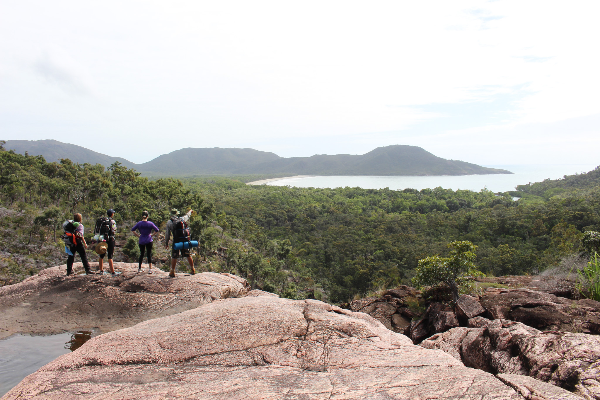 Salt water Crocodile