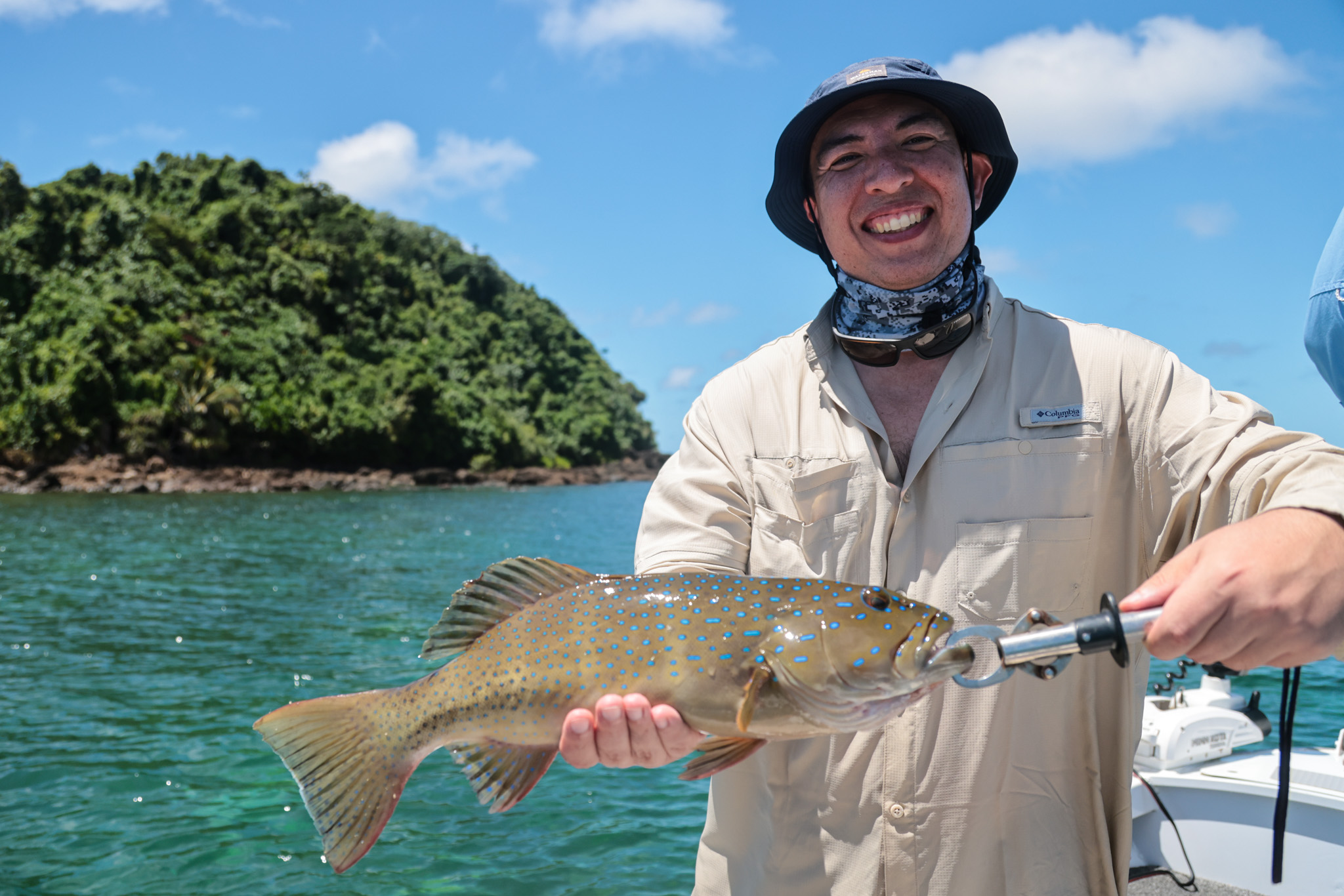 Salt water Crocodile