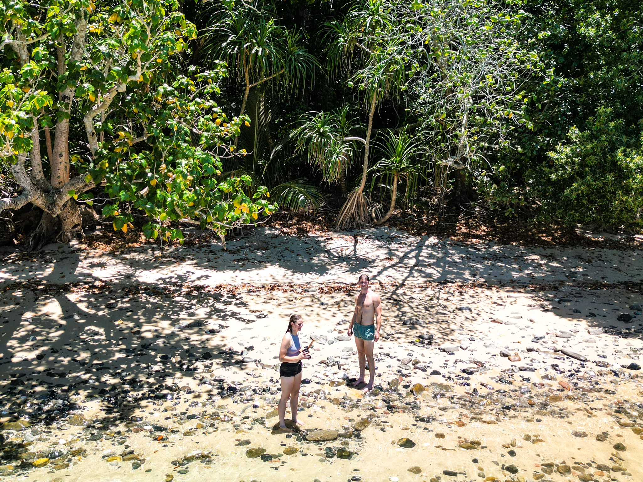 Salt water Crocodile