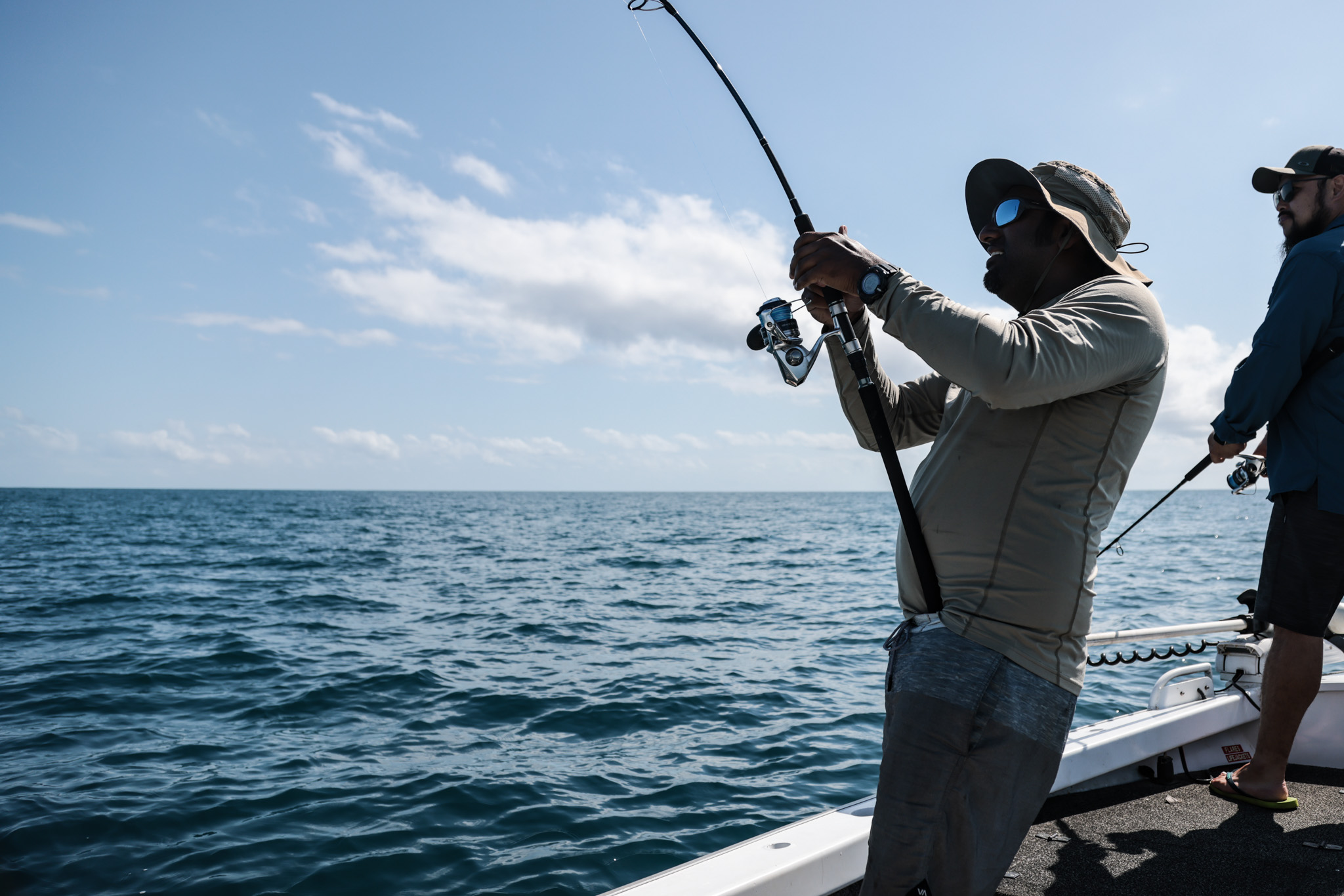 Salt water Crocodile
