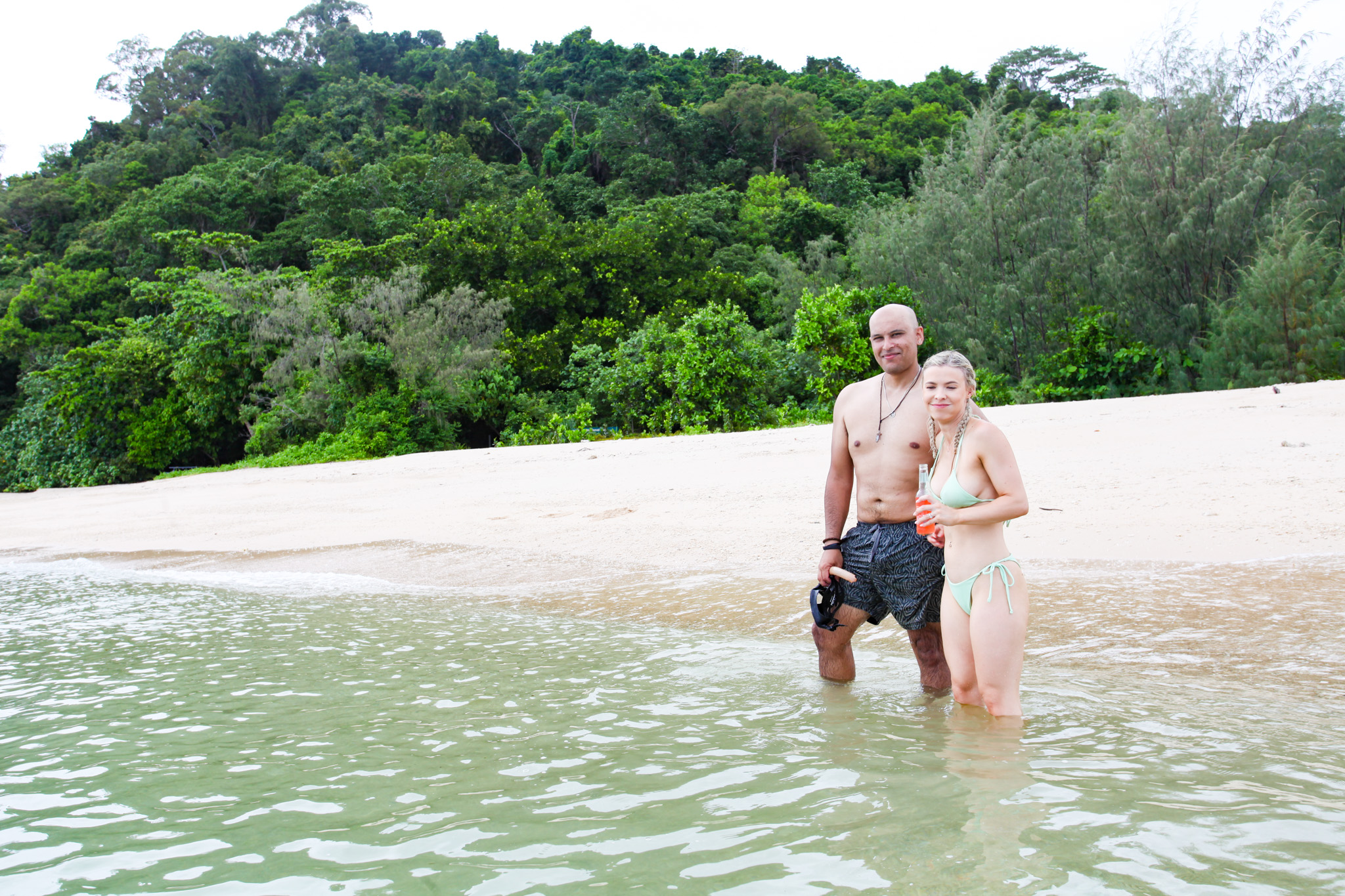 Salt water Crocodile