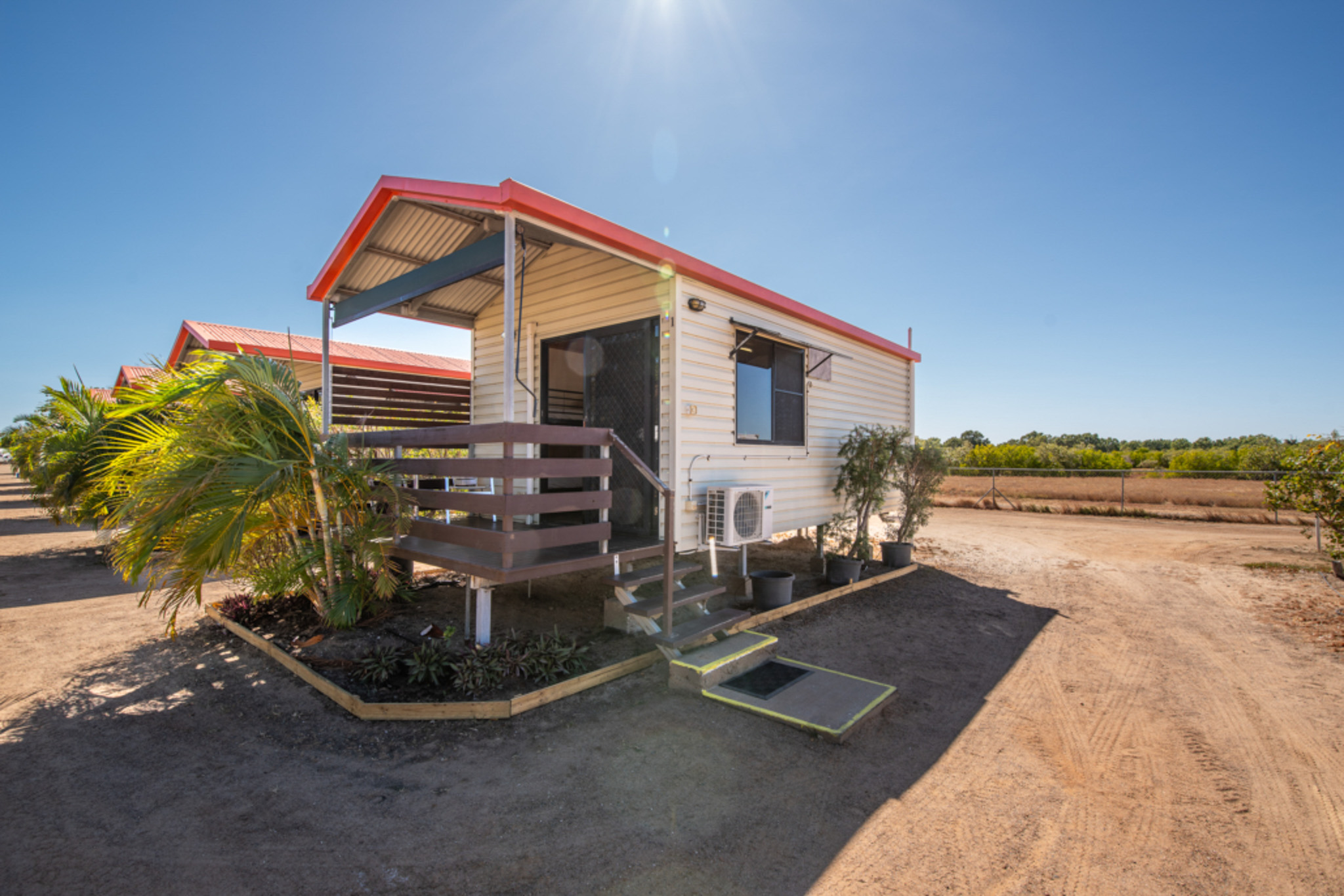 Salt water Crocodile