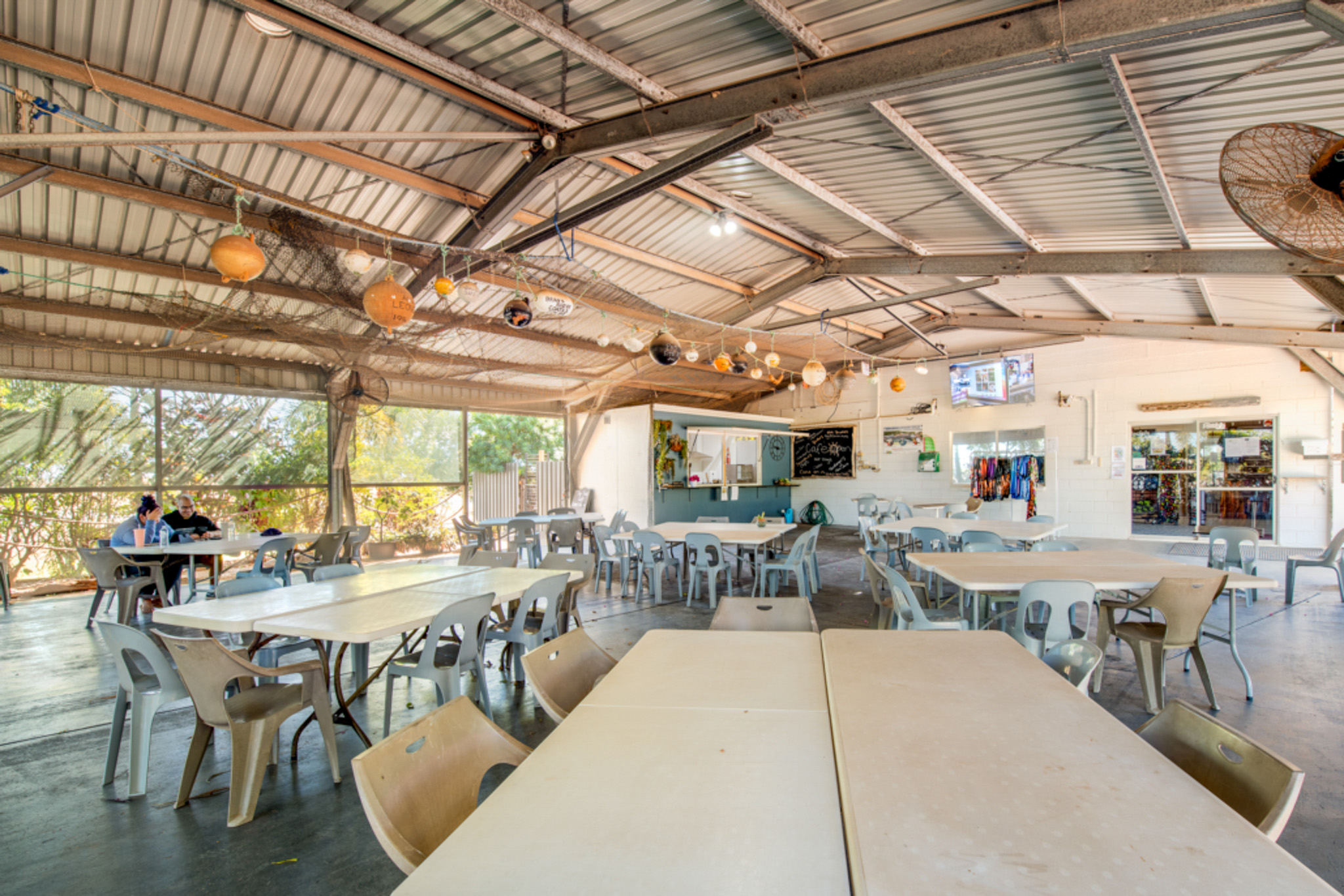 Salt water Crocodile