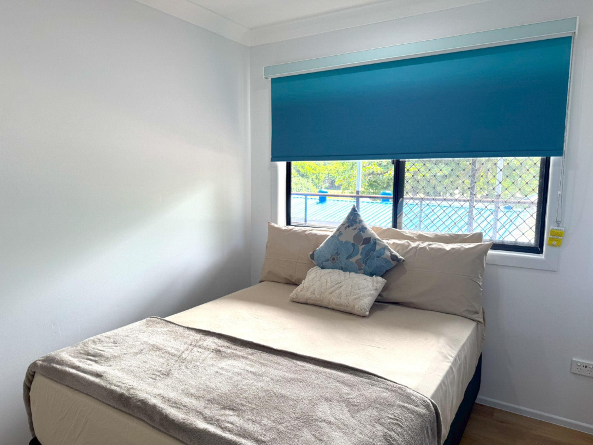 Salt water Crocodile