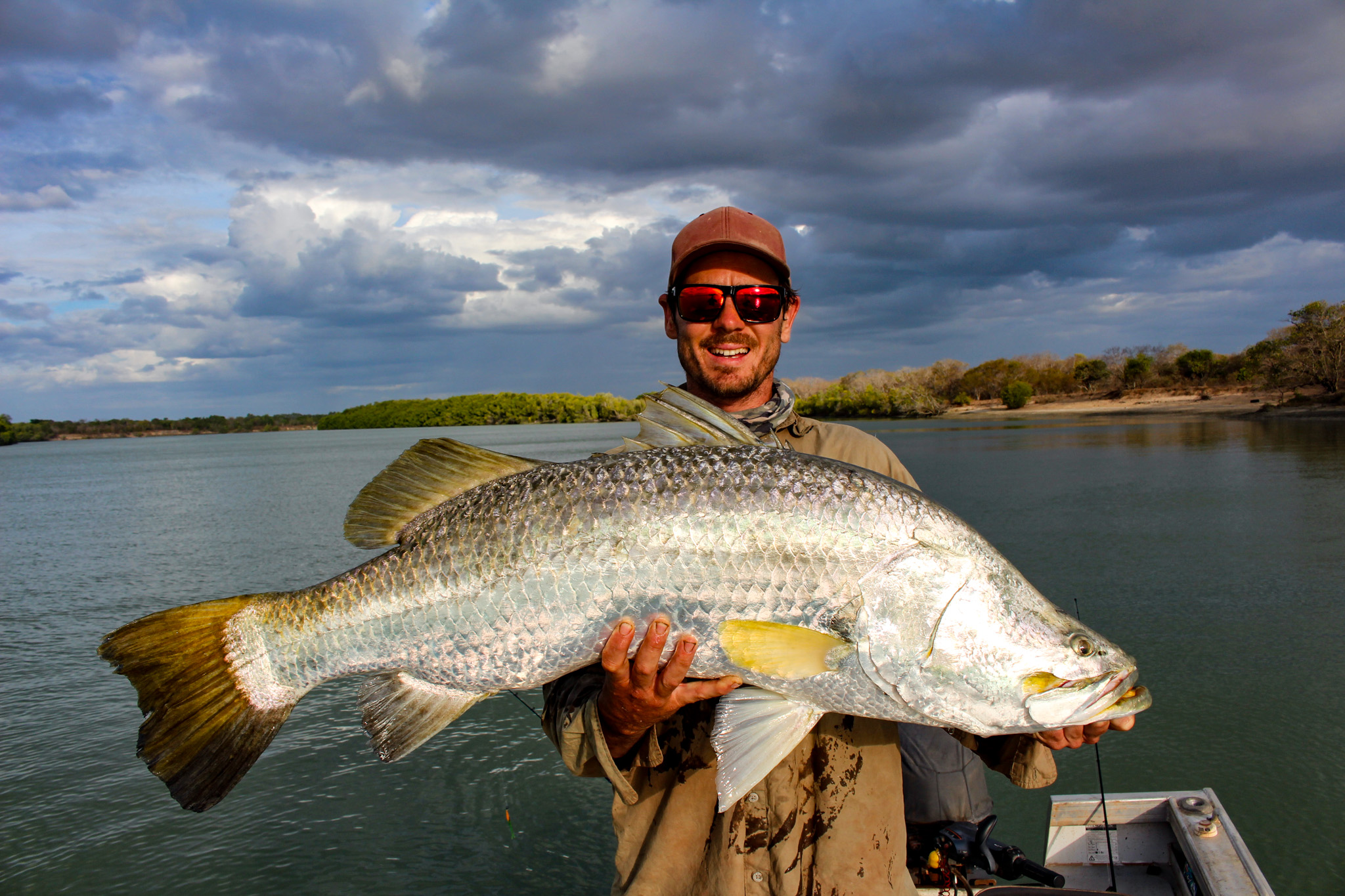 Salt water Crocodile