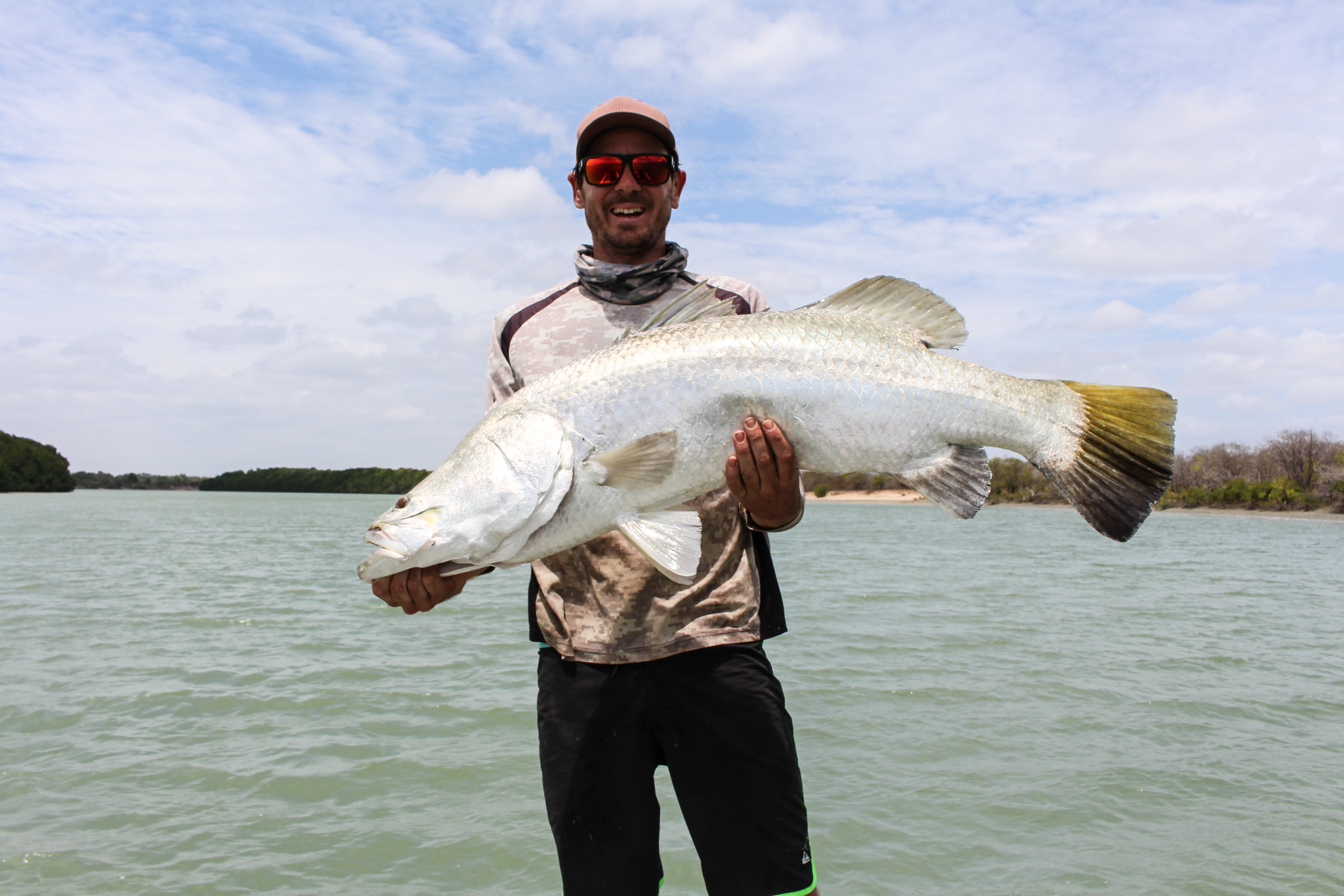 Salt water Crocodile