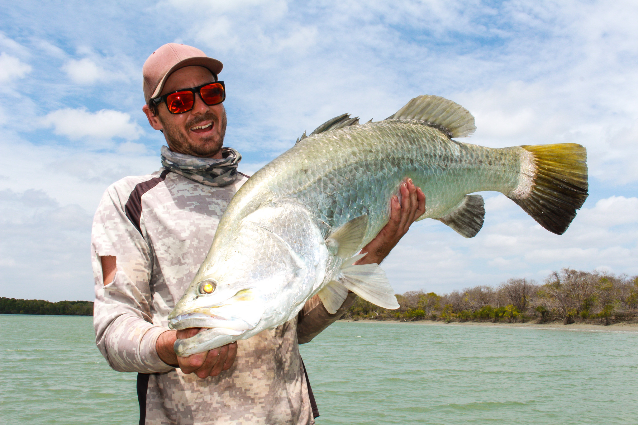 Salt water Crocodile