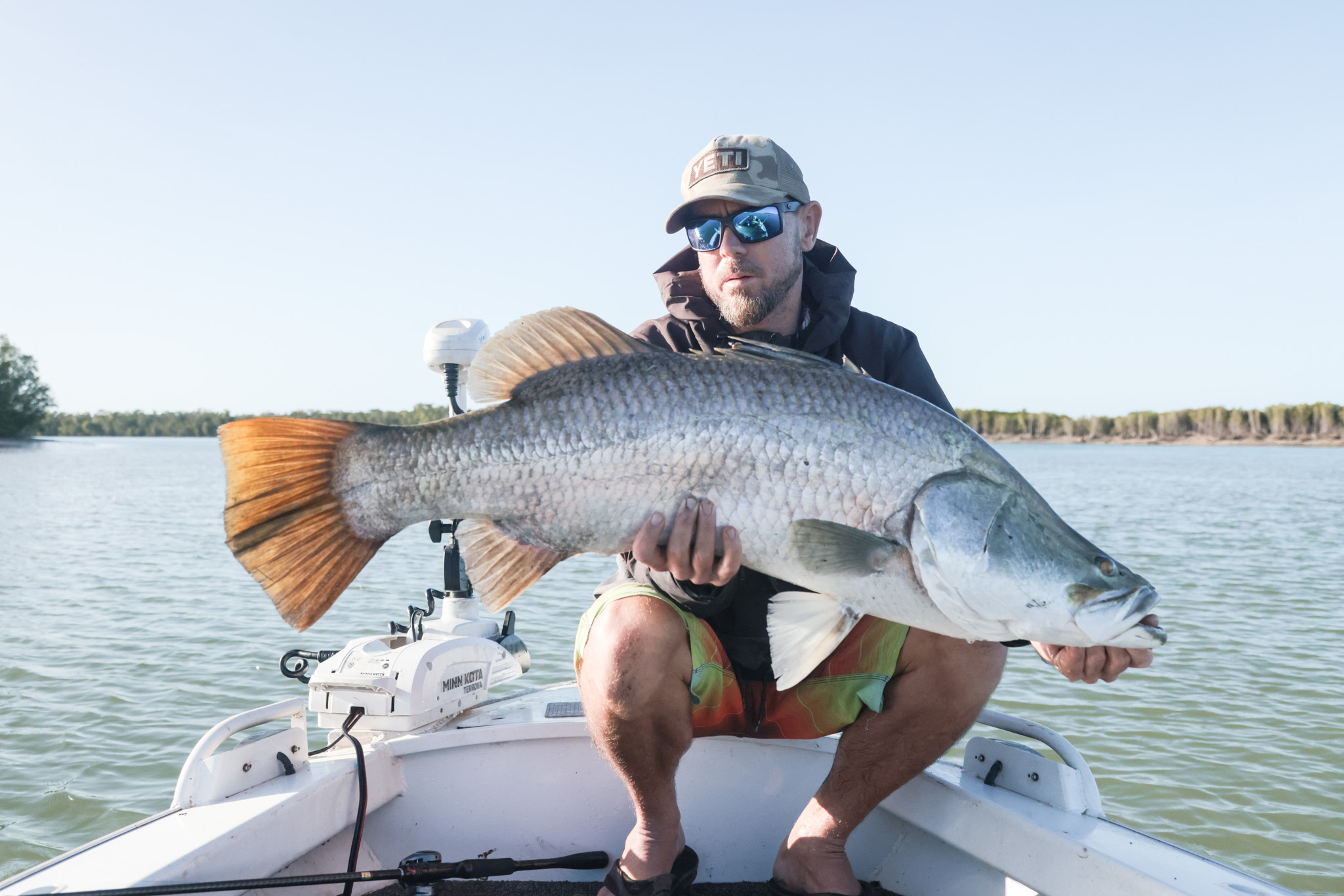 Salt water Crocodile