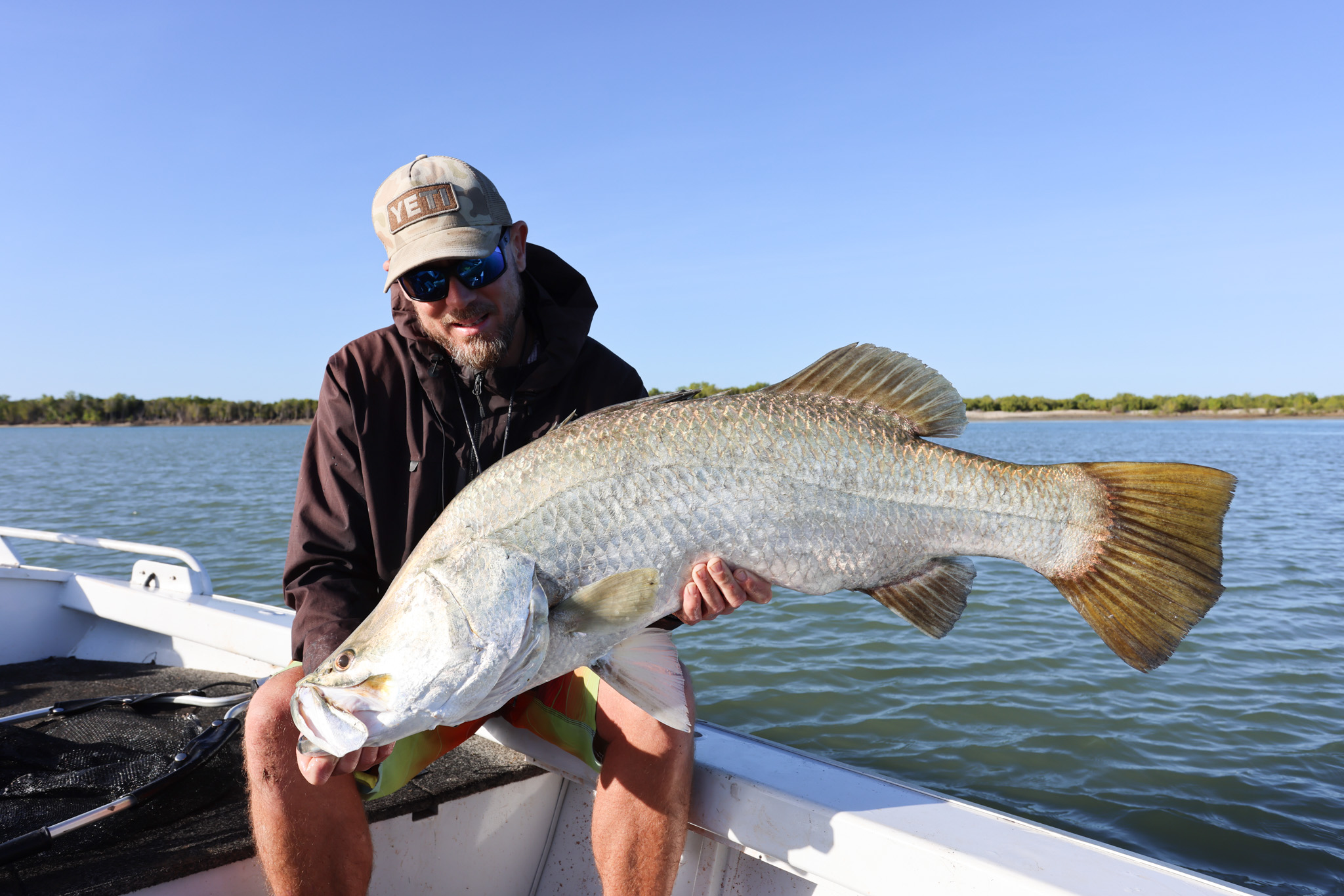 Salt water Crocodile